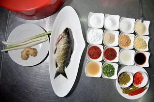 盛夏養陽正當時——中醫視角下的老年人夏季養生保健指南