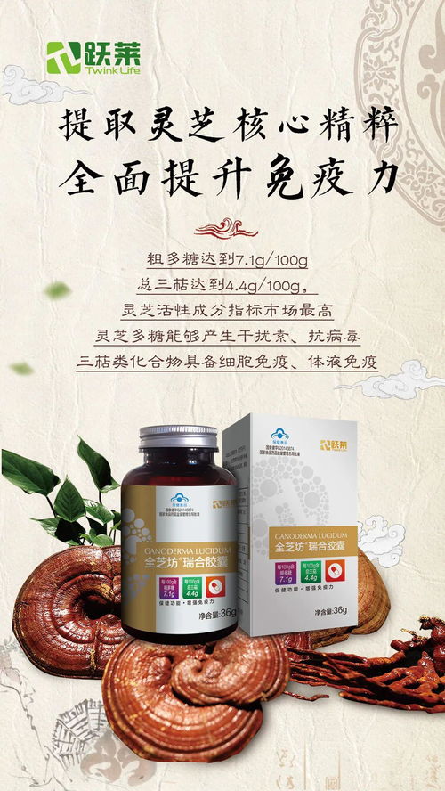 權威中醫專家審定的全年養生營養月歷 愿伙伴家人一整年平平安安